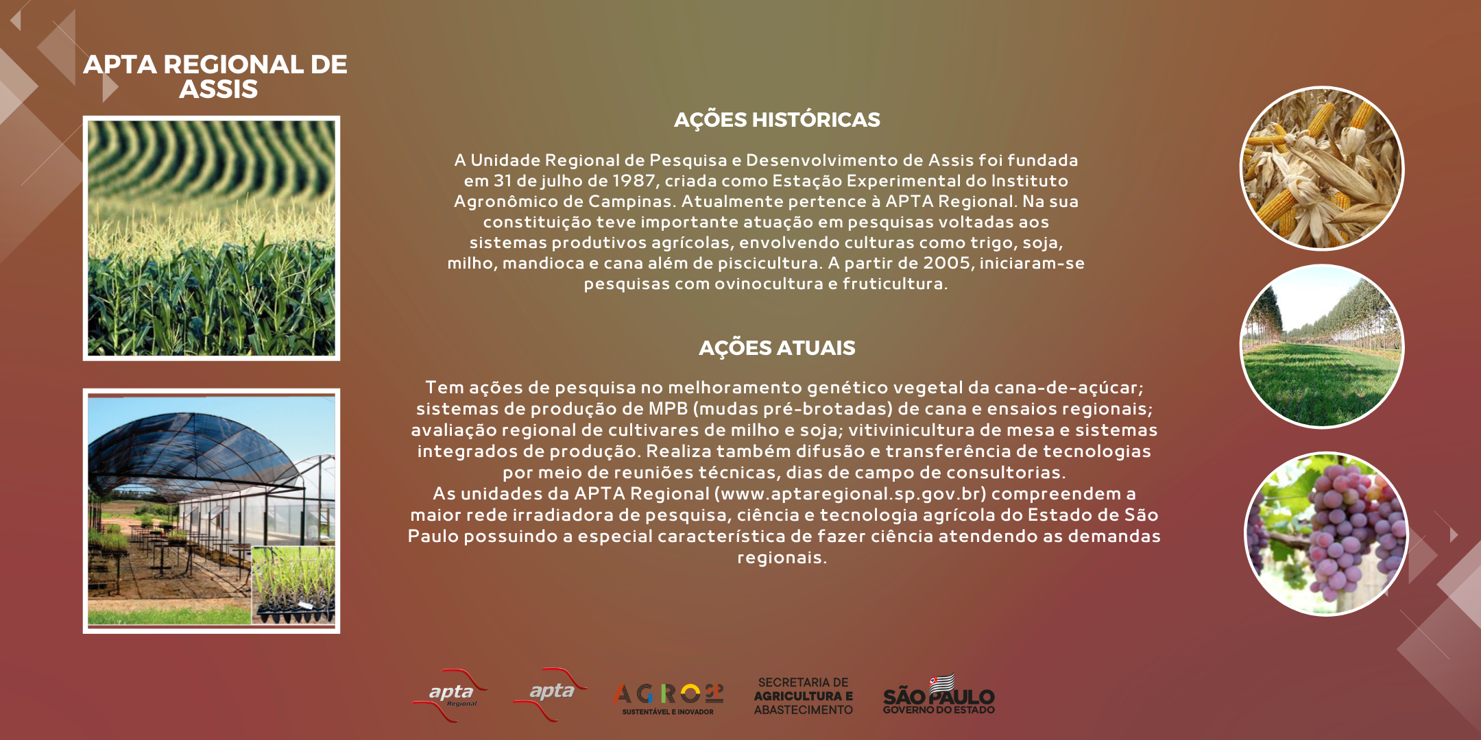 APTA REGIONAL DE ASSIS